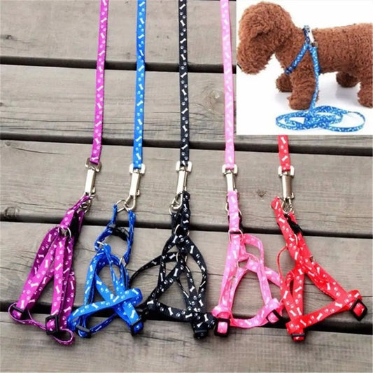 Small Pet Cat Puppy Kitten Rabbit Dog Harness Lead Leash Collar Same Day Post