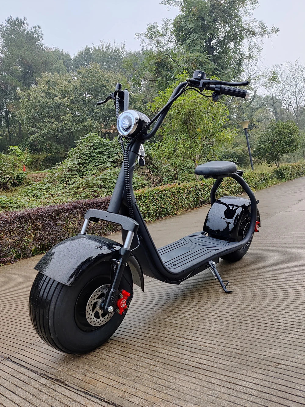 Two Wheels Big Tire Trike Adult Tricycle Citycoco 2 Wheel Electric Scooter 3000W Fat Bike Tire